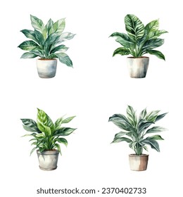 set of watercolor illustrations of house plants in pots