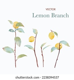 Set of watercolor illustrations of lemons. Hand painted tree branch lemons with green leaves.