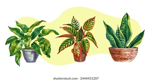 Set of watercolor indoor plants in ceramic pots, house plats set with monstera sansevieria banana palm ficus and rhopalostylis in pots background isolated vector illustration, eps 10