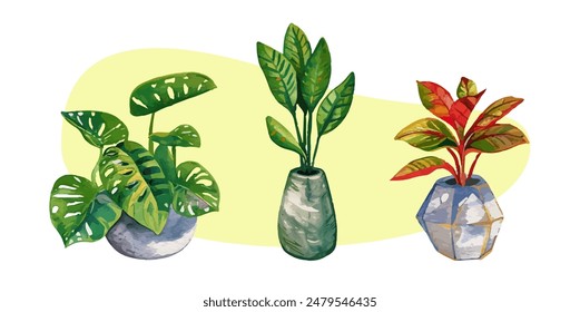 Set of watercolor indoor plants in ceramic pots, house plats set with monstera sansevieria banana palm ficus and rhopalostylis in pots background isolated vector illustration, eps 10