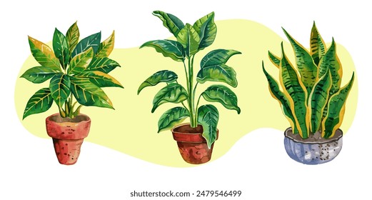 Set of watercolor indoor plants in ceramic pots, house plats set with monstera sansevieria banana palm ficus and rhopalostylis in pots background isolated vector illustration, eps 10