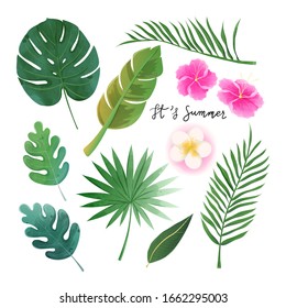 Set of watercolor isolated tropical leaves and flowers in summer theme.