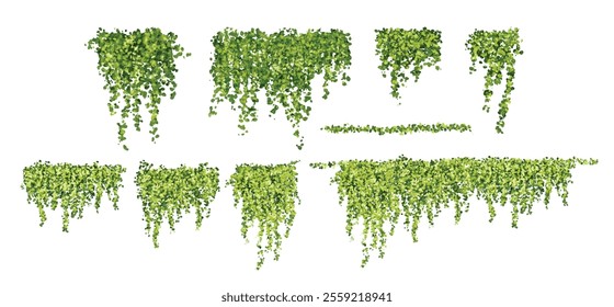 Conjunto de hiedra de acuarela con hojas verdes. Elementos colgantes botánicos de Vector de jardín aislados sobre fondo blanco, decoración adecuada para decoración de paisajes, fondos o paredes.