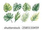Set of watercolor leaf collection hand drawn design vector element. botanical set of tropical foliage branch for wedding poster invitation design element