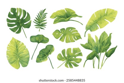 Set of watercolor leaf collection hand drawn design vector element. botanical set of tropical foliage branch for wedding poster invitation design element