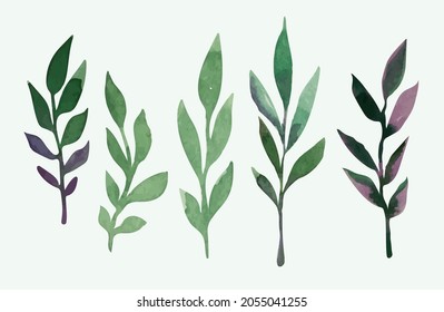 A set of watercolor leaves for decoration, decoupage. Vector illustration.