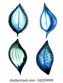 set of watercolor leaves isolated on white background