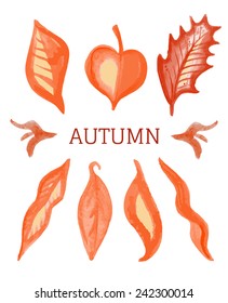 set of watercolor leaves isolated on white background