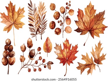 A set of watercolor leaves with a variety of shapes and sizes. Some of the leaves are large and some are small