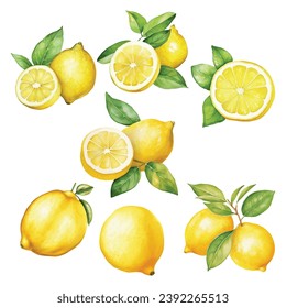 Set of Watercolor Lemons Illustration 