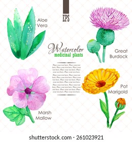 Set of watercolor madicinal plants such as great burdock, marsh mallow, aloe vera and pot marigold