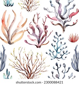 Set of watercolor marine sea corals illustration for wedding invitation