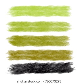 Set of watercolor paint on white background. Mushroom watercolor palette.