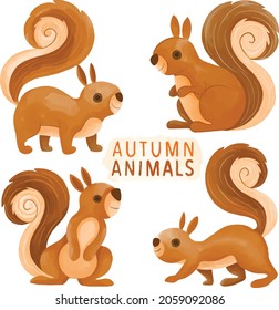 Set of watercolor painted Squirrel ,Autumn Animal, Wildlife clipart. Hand drawn isolated on white background