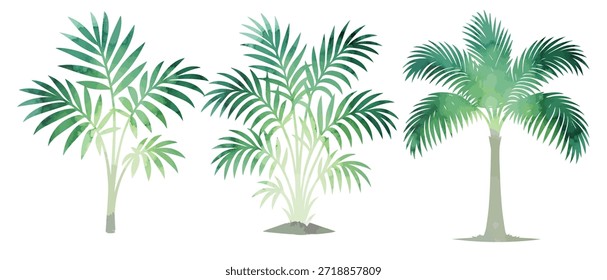 Set Watercolor palm trees object. Hand drawn. Not AI, vector illustration