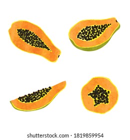 Set of watercolor papaya fruit. Vector illustration of slices isolated on white.