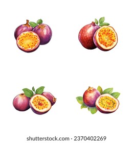 set of watercolor passion fruit illustrations with leaves isolated