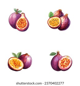 set of watercolor passion fruit illustrations with leaves isolated