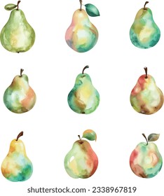 Set of watercolor pears isolated on white background. Vector illustration.