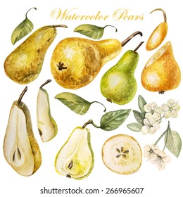 Set with watercolor pears. Vector.