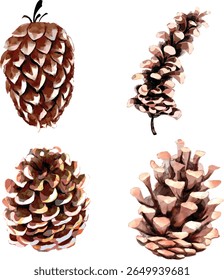 Set of watercolor pine cones in various shapes and angles. Hand-painted nature elements with earthy brown tones, perfect for winter, autumn, forest, or rustic themes. Ideal for holiday decor, packagin