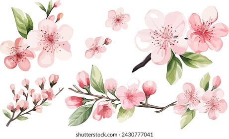 Set of Watercolor pink cherry blossoms blooming elements. Pink cherry green leaves branch, and stem isolated on light background. Suitable for decorative invitations, posters, or cards