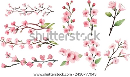 Set of Watercolor pink cherry blossoms blooming elements. Pink cherry green leaves branch, and stem isolated on light background. Suitable for decorative invitations, posters, or cards