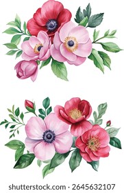 set of Watercolor Pink and Red Anemone Bouquet vector illustration