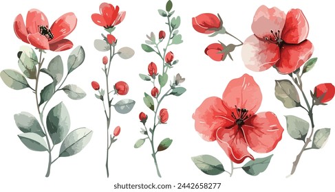 Set of Watercolor red flowers, 8 march blossoms blooming vector elements. Flower green leaves branch, and stem isolated on white background. Suitable for decorative invitations, posters, or cards