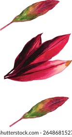  set of Watercolor Red Leaves - Tropical Foliage  vector illustration