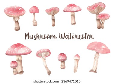 set of watercolor red mushrooms