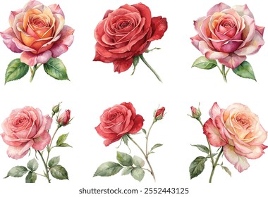 set of watercolor rose flower art design Silhouette