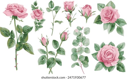 Conjunto de rosas y hojas de acuarela sobre un fondo transparente. Acuarela composición de rosas. Vector EPS 10