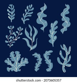 Set of watercolor seaweed, corals and stones isolated on white background. Underwater watercolor algae set. Aquarium plants collection. Vector marine life.