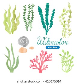 Set of watercolor seaweed, corals and stones isolated on white background. Underwater watercolor algae set. Aquarium plants collection. Vector marine life. 