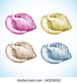 Set of Watercolor Shells, vector illustration