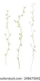 Set von Aquarell klein verlässt Elemente. Kollektion botanische Vektorgrafik isoliert auf weißem Hintergrund geeignet für Hochzeit speichern Einladung, das Datum, danke, oder Grußkarte.