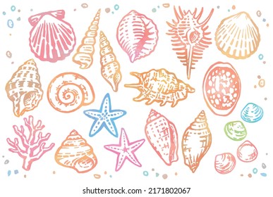 Set of watercolor starfish and seashells. Vector illustration.