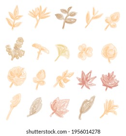 Set of watercolor style autumn leaf illustrations