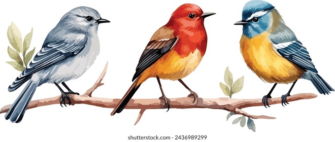 Set of watercolor style colordul birds. Watercolor hand drawn vector illustration isolated on white background