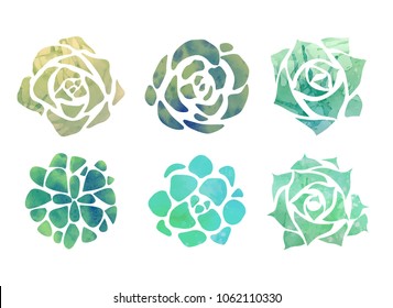Set of watercolor succulents with a top view on a white background. Vector element for your creativity