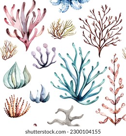 Set of watercolor summer sea corals illustration for wedding invitation