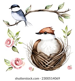 Set of watercolor swallow birds nest vector illustration