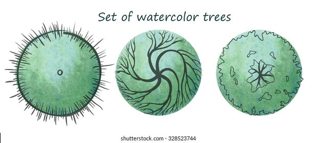 Set of watercolor trees with graphic stroke, top view, for landscape and architectural design, vector