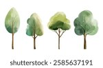Set of watercolor trees. Hand drawn woodland collection. Oak, maple. Forest trees