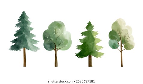 Conjunto de árvores aquarelas. Floresta desenhada à mão. Pinho, abeto, carvalho, ácer. Elementos da natureza da aquarela. 