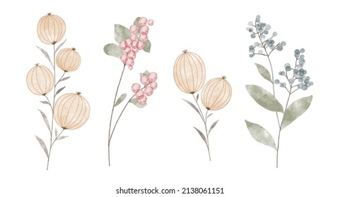 Set Of Watercolor Trendy Plants. Vector Illustrations For Web, App And Print. Elegant Feminine Shapes Floristic Isolated Wild Berries Flowers. Garden, Botanical, Minimalistic Floral Elements.