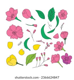 set of watercolor tropical floral element isolated on white background