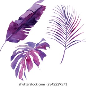 Conjunto de hojas tropicales de acuarela, ilustración vectorial a mano de elementos florales exóticos morados aislados en fondo blanco. Hojas de palmeras, follaje violeta de jungla vívida. Tarjeta de saludo, boda