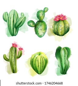 Set of watercolor various cacti. Exotic plants collection with flowers. Vector